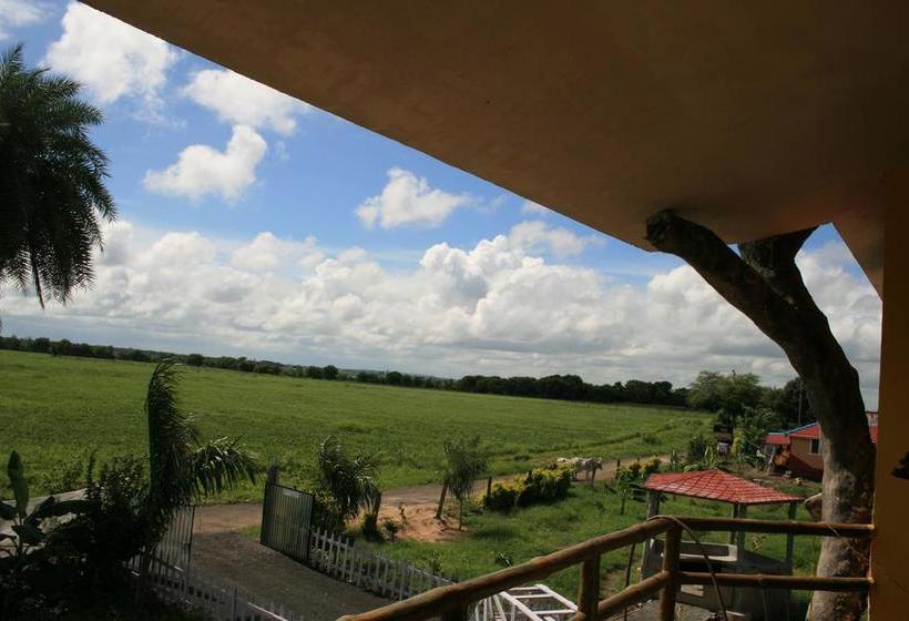 Bed and Breakfast Banyan Tree Farms 12