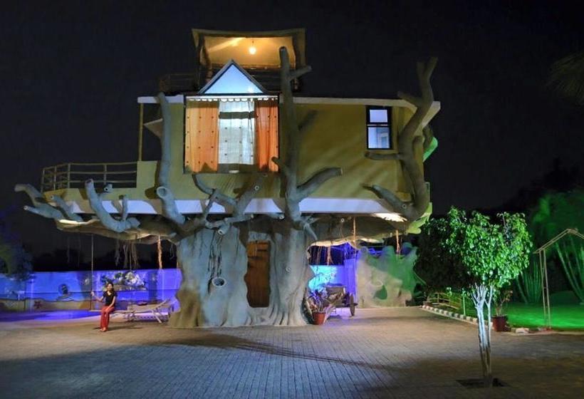 Bed and Breakfast Banyan Tree Farms 9