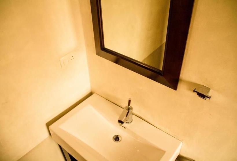 Dc Bed And Breakfast 5