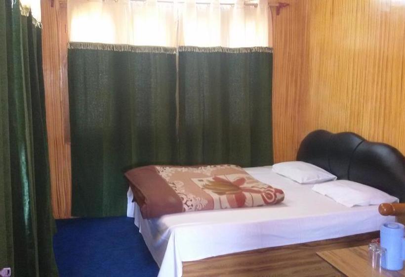 Hotel Green Chinar 4