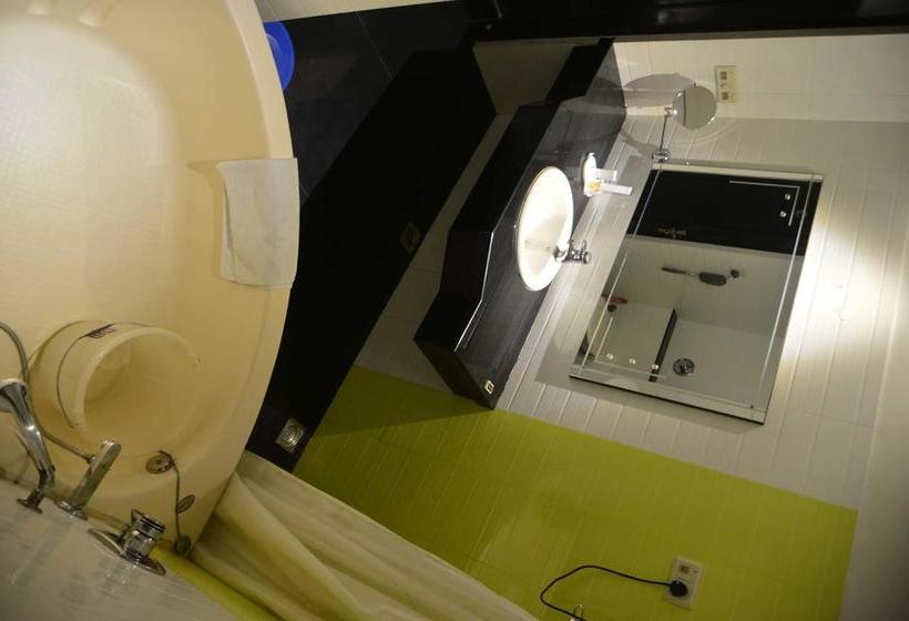 Hotel Krishna Continental 17