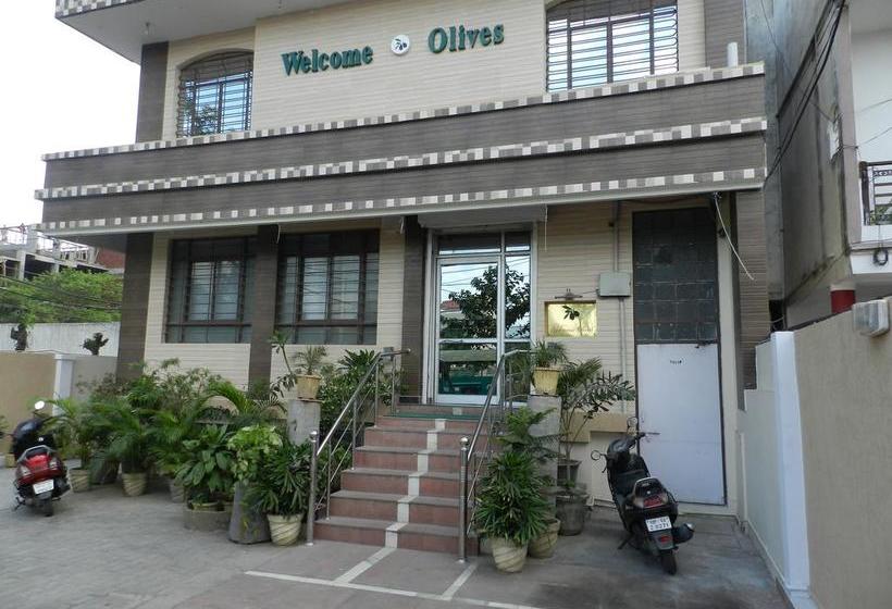 Bed and Breakfast Welcome Olives