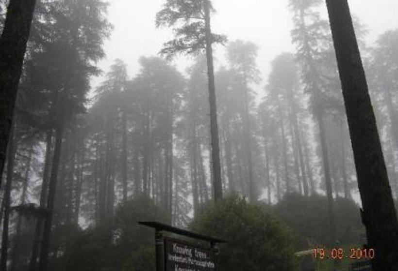 Bed and Breakfast Pahadi House Kanatal 8