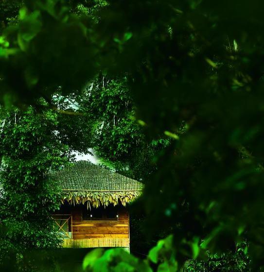 Resort The Heights Munnar 15