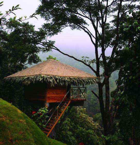 Resort The Heights Munnar 16