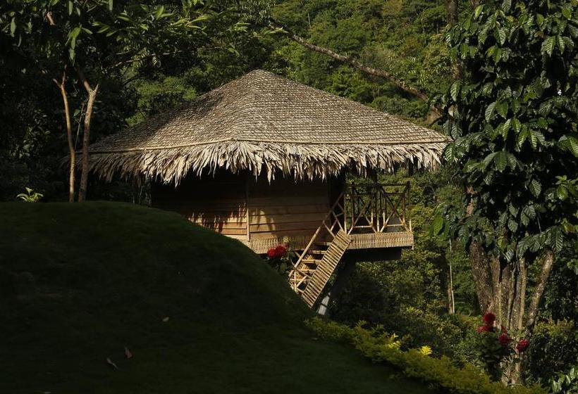 Resort The Heights Munnar 6