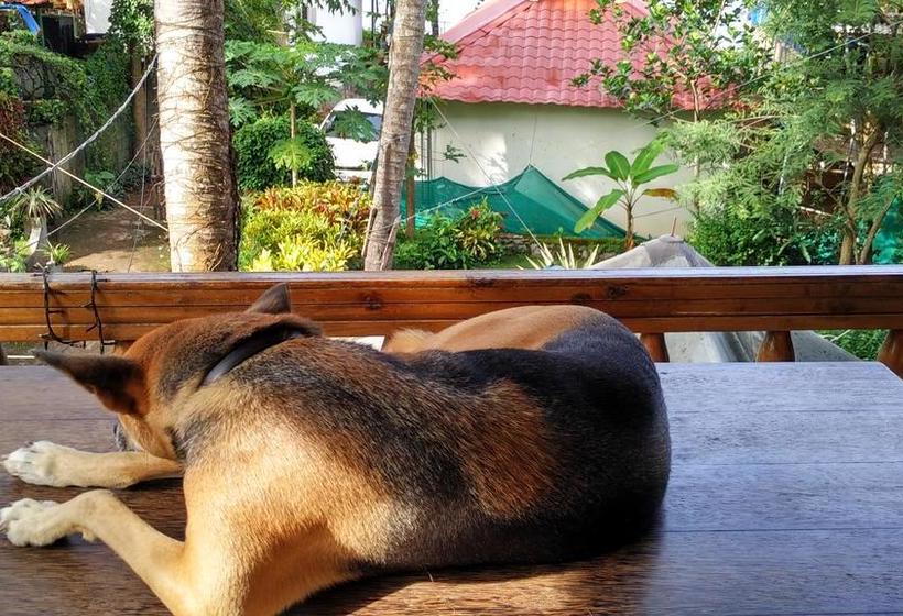 Bed and Breakfast Arabian Soul 18