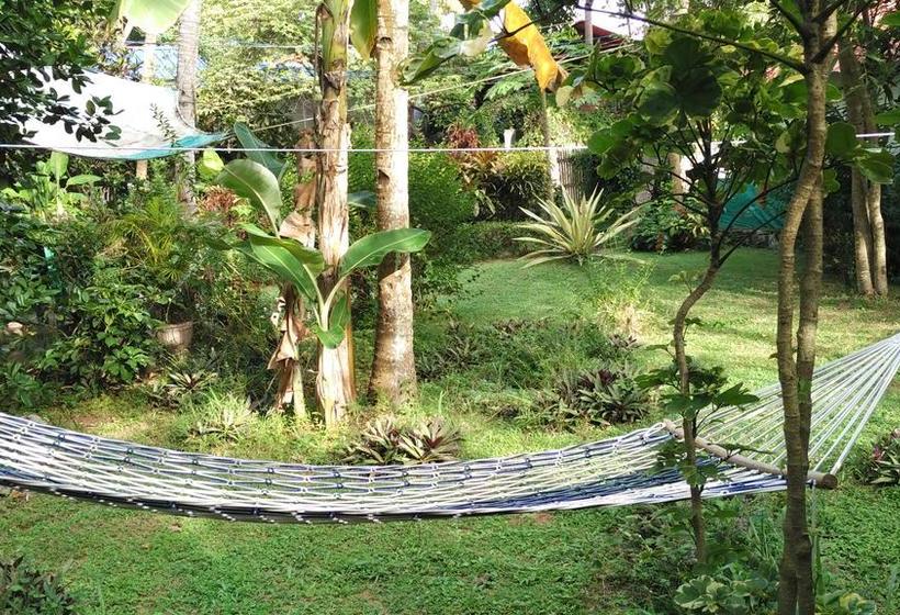 Bed and Breakfast Arabian Soul 5