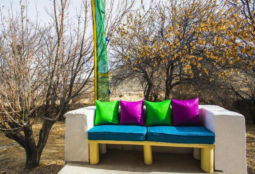 Hotel Woodyvu Stok House 4