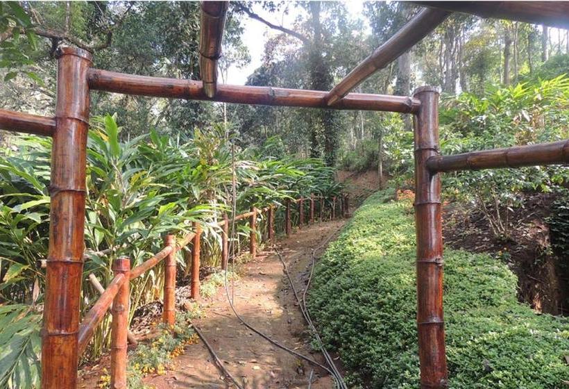 Resort Bamboo Dale 12