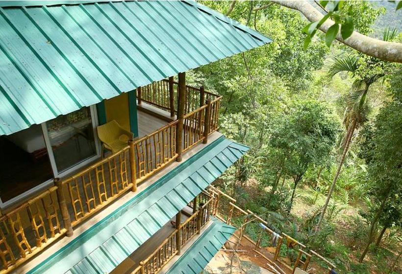 Resort Bamboo Dale 14