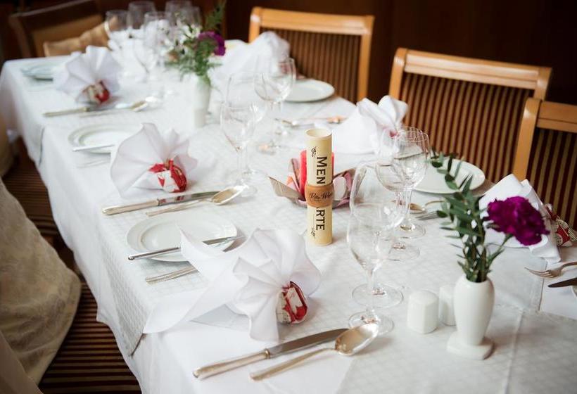 Hotel Villa Weiße 10