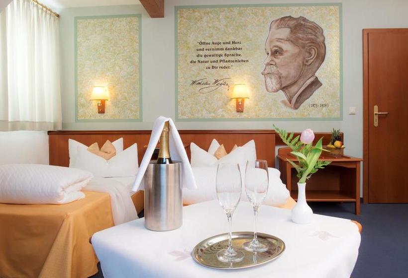 Hotel Villa Weiße 12