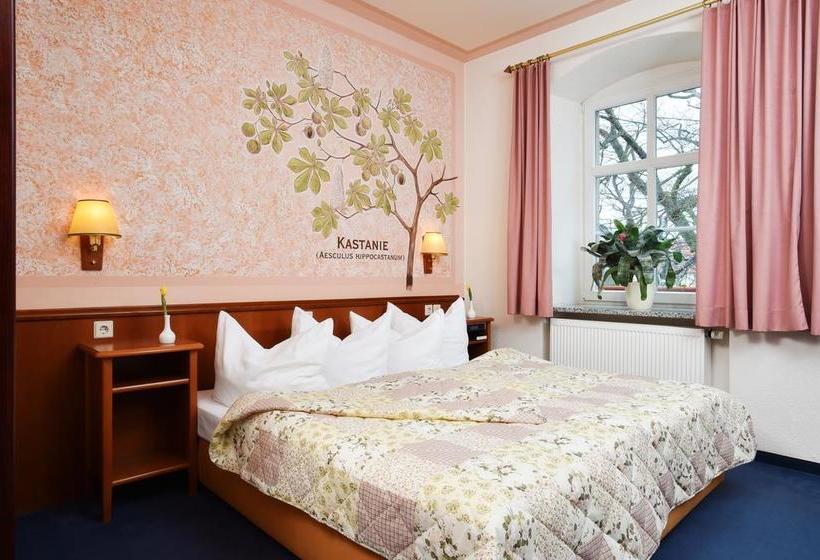 Hotel Villa Weiße 13