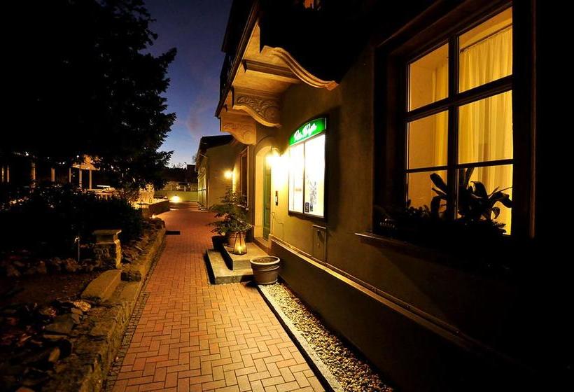 Hotel Villa Weiße 4