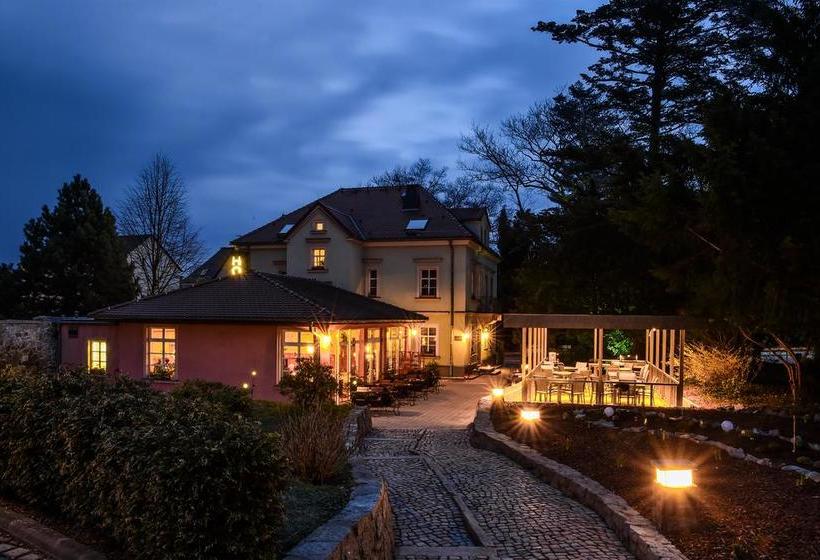 Hotel Villa Weiße 6