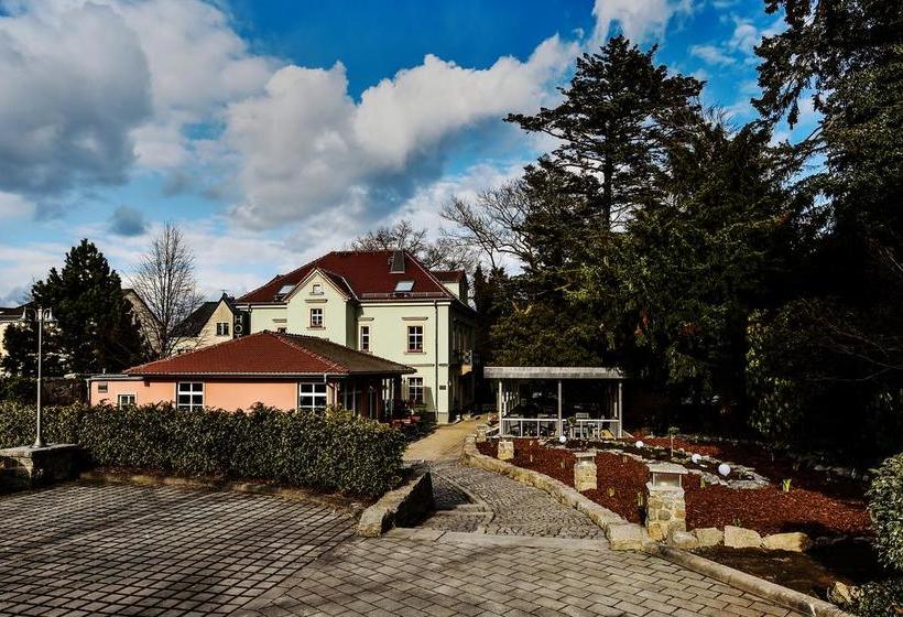 Hotel Villa Weiße 7