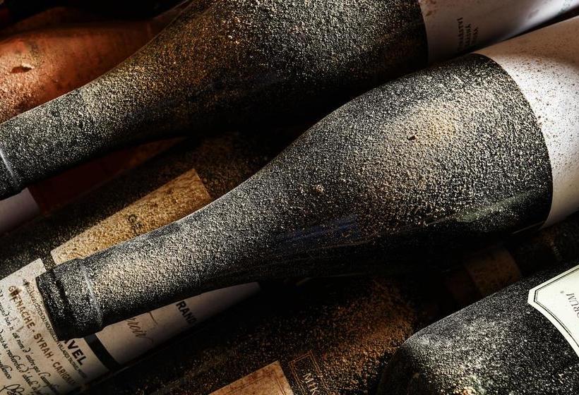 Hotel Villa Weiße 9