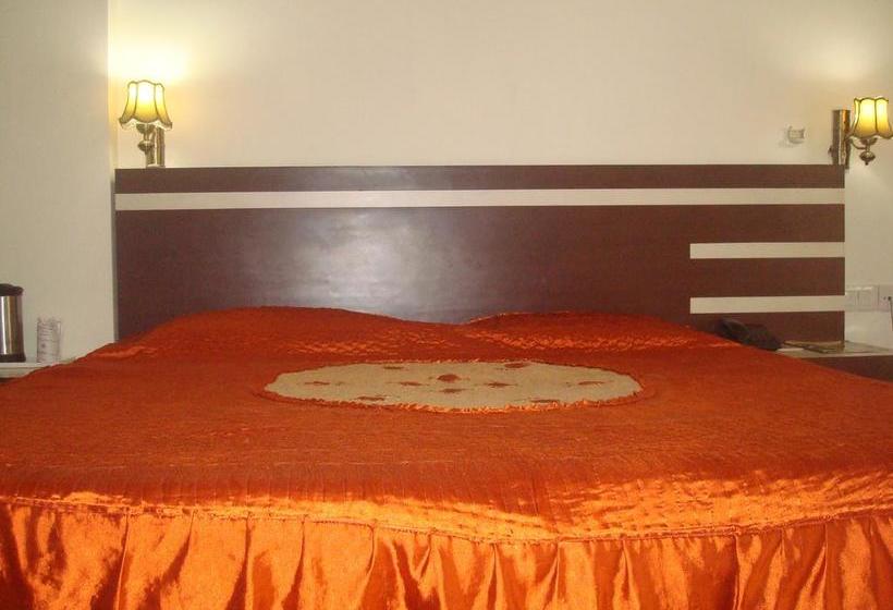 Hotel Siddharth Paradise 14