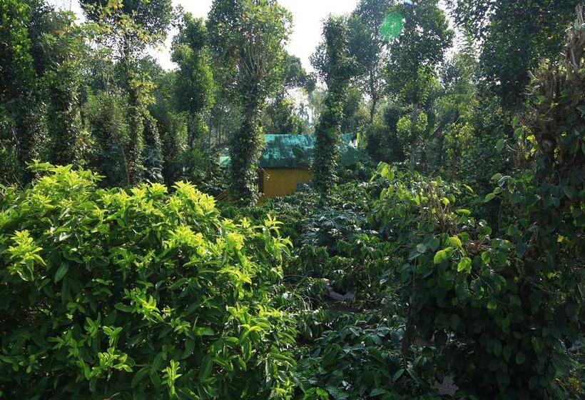 Karapuzha Lakeshore Resort 14