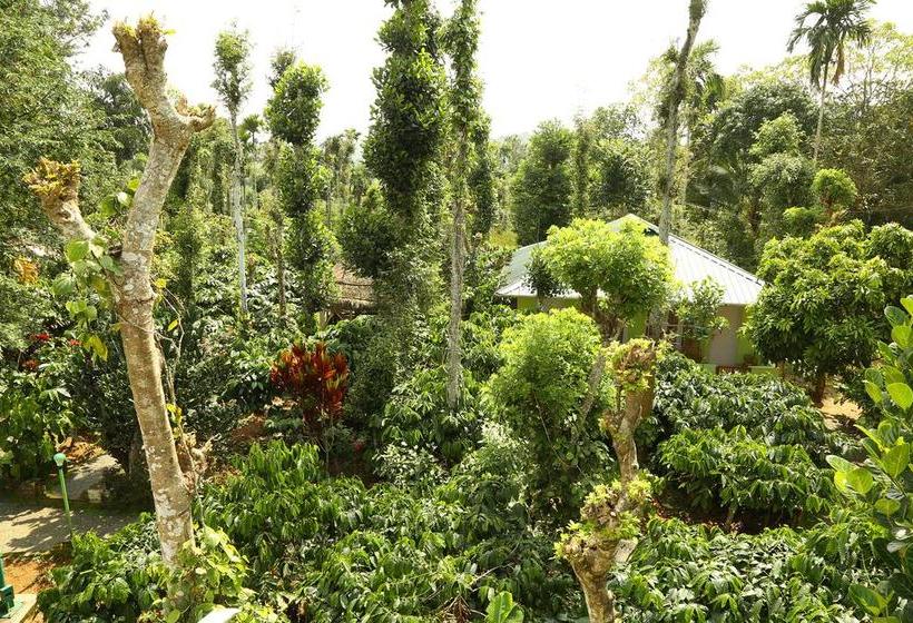 Karapuzha Lakeshore Resort 2