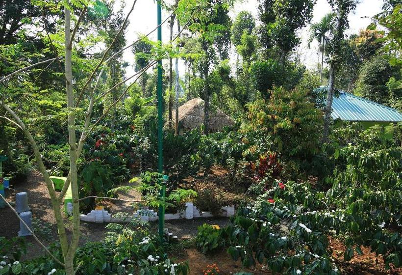 Karapuzha Lakeshore Resort 8