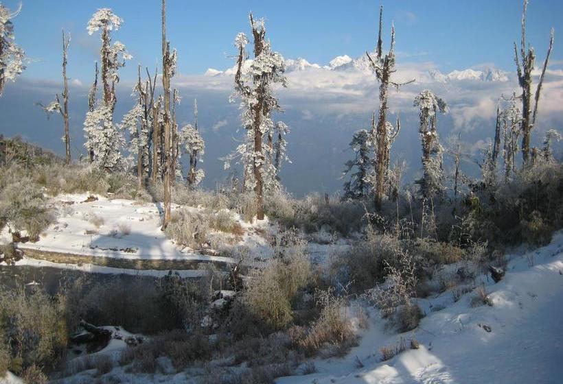 Hotel Juniper Residency 4