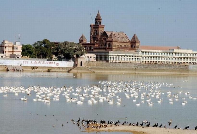 Hotel Divya Jyot Residency 5