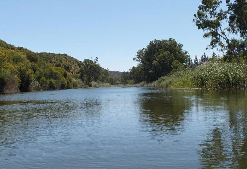 Fish Eagles Lodge B&b 10