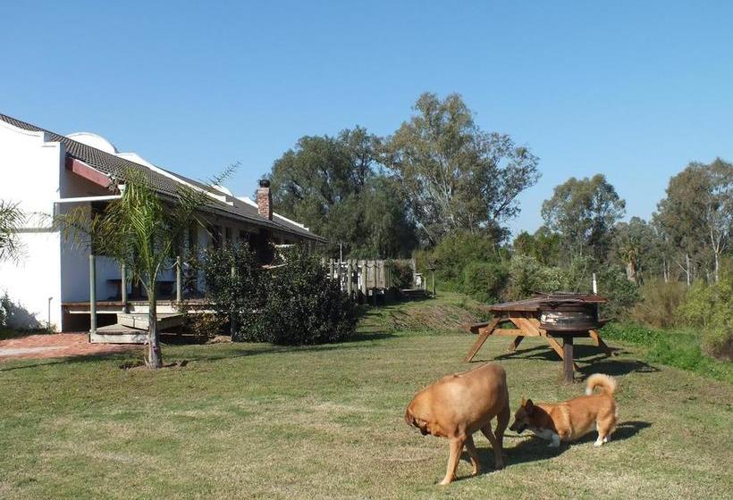 Fish Eagles Lodge B&b 2