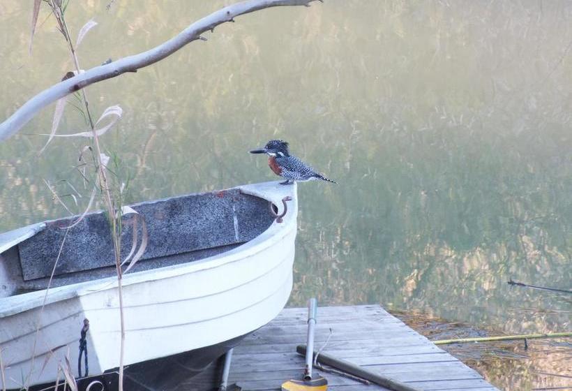 Fish Eagles Lodge B&b 4