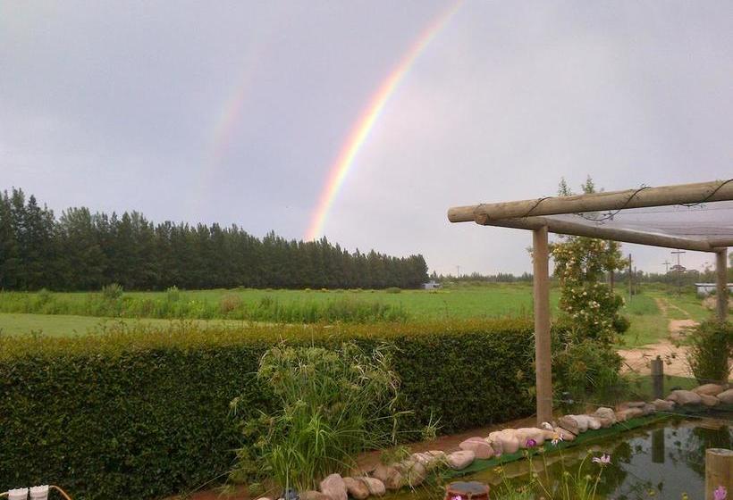 Fish Eagles Lodge B&b 7