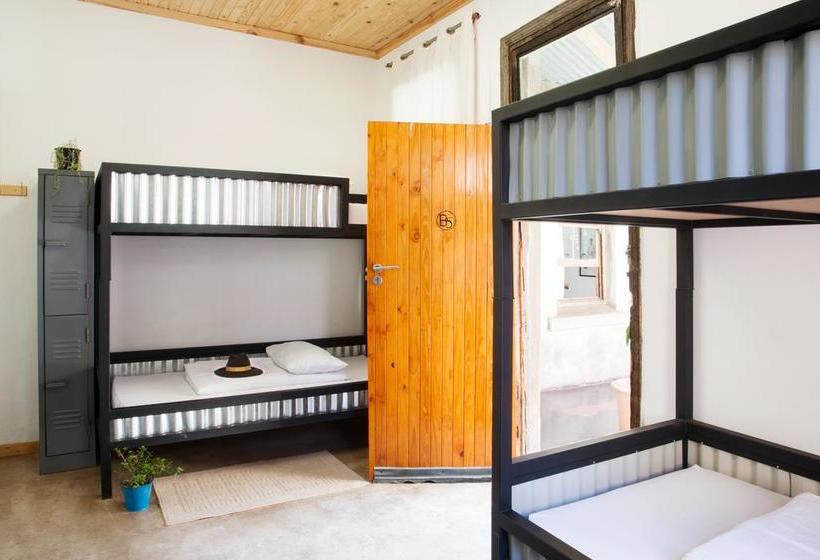 Ostello Curiocity Backpackers 12