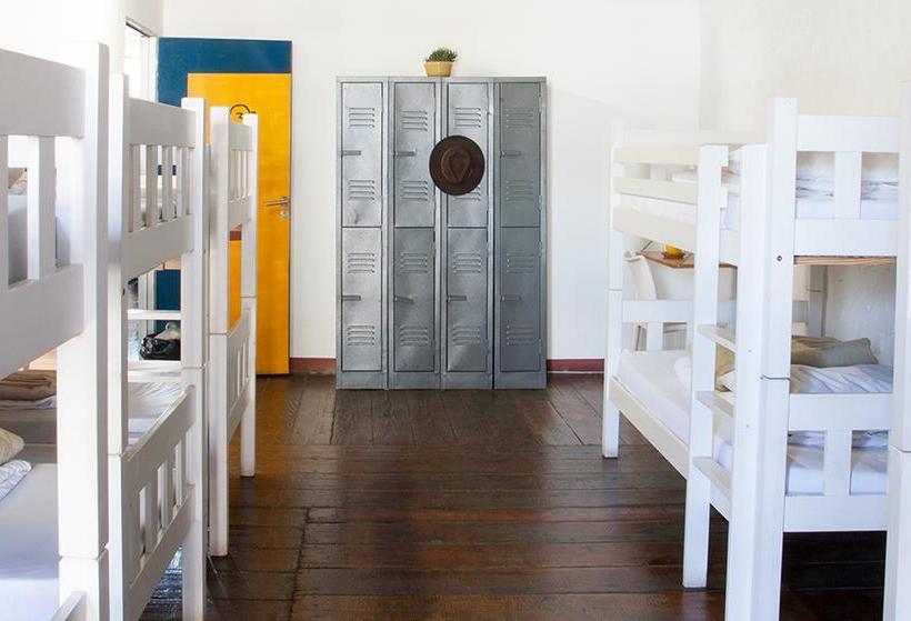 Ostello Curiocity Backpackers 7