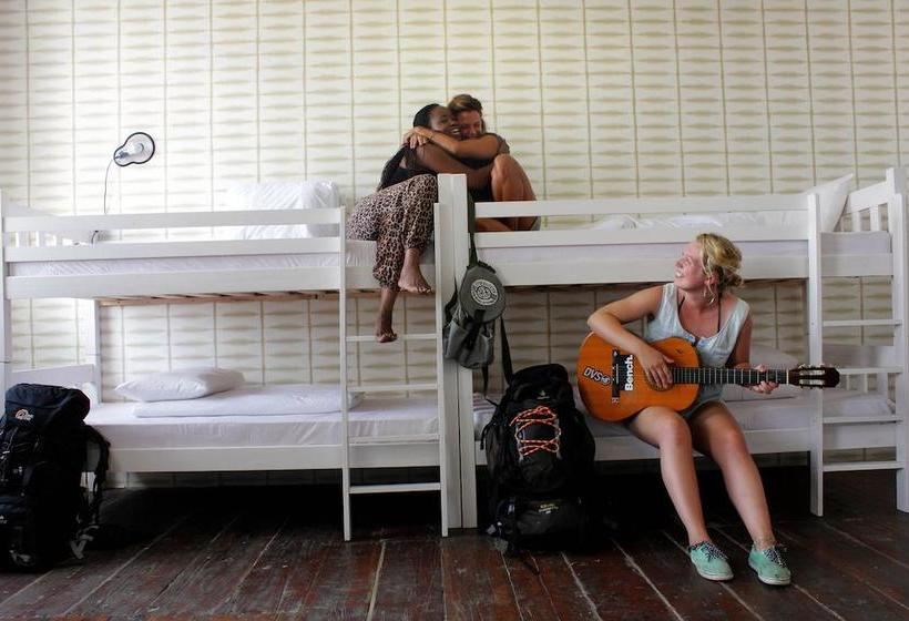 Ostello Curiocity Backpackers 8