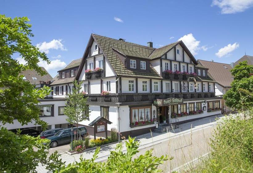 Hotel Hirsch 9