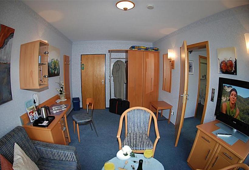 Moselhotel Leyendecker Garni 11