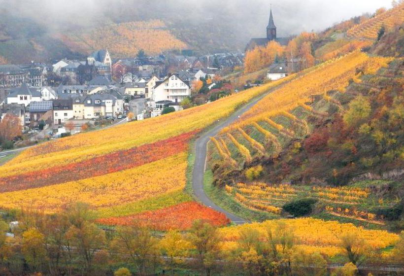 Bed & Breakfast Apartment Happy Mosel 20