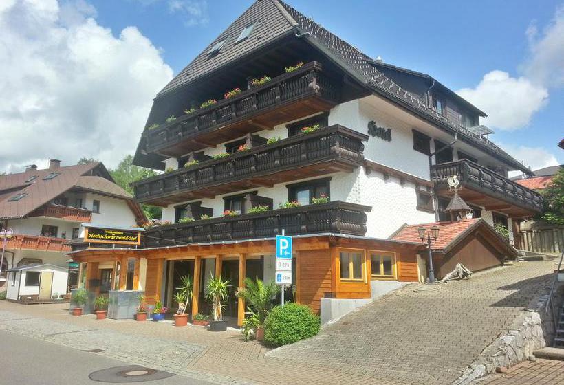 Hotel Hochschwarzwaldhof Schluchsee