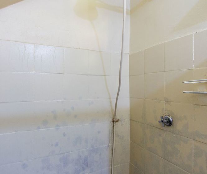 Hospedaria Zen Rooms Canal Barra  | Rio de Janeiro | Rio de Janeiro | Brasil 17