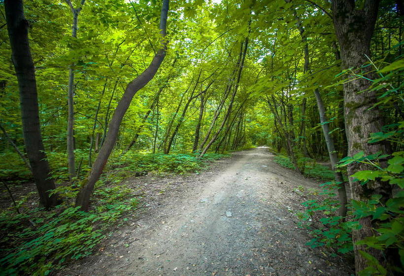 Ros Les Prom Hotel 15