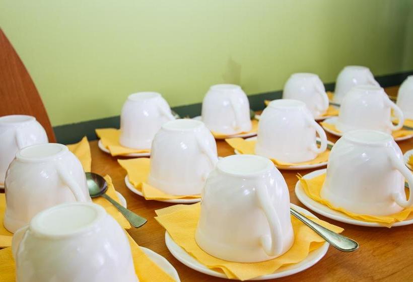 Bed and Breakfast Piligrim Minihotel 5