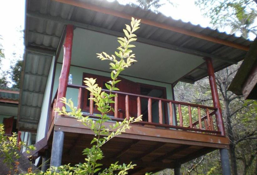 Hotel Easy Life Bungalow 19