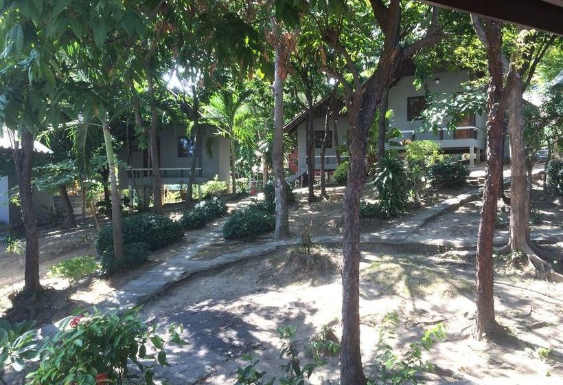 Hotel Phupha Bungalow 5