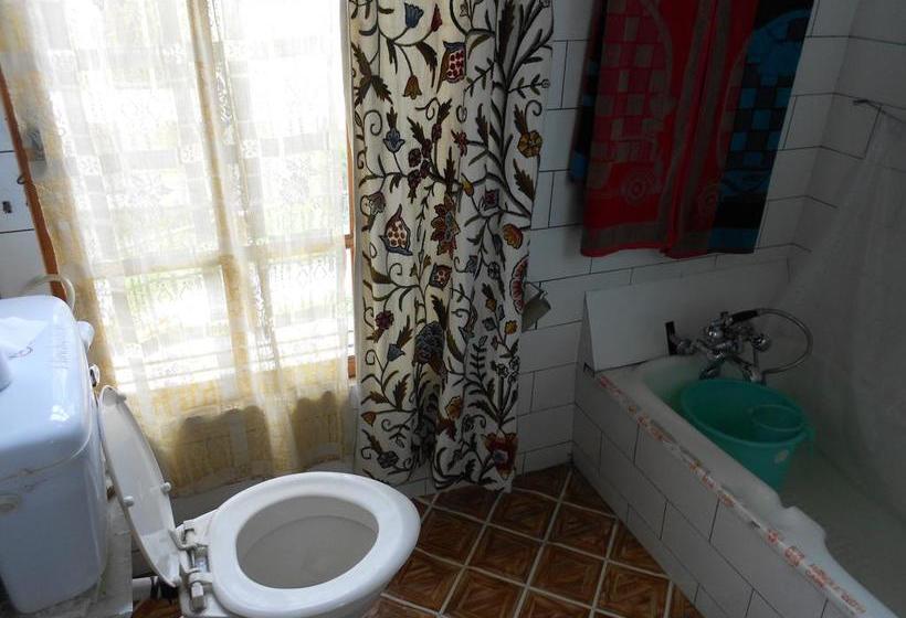 Hotel New Jacquline Heritage Houseboats 9