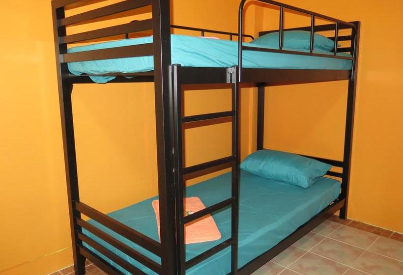 Hostel Culture Club Backpackers 15