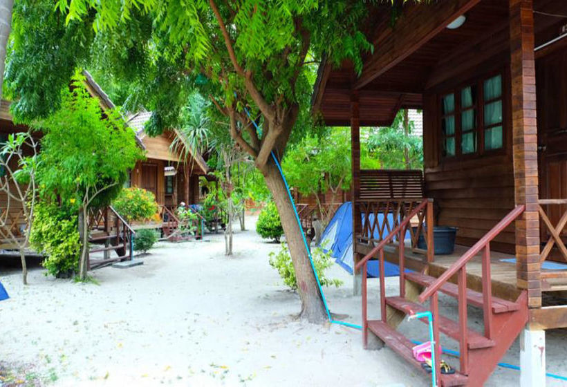 Hotel The Lion Resort 5