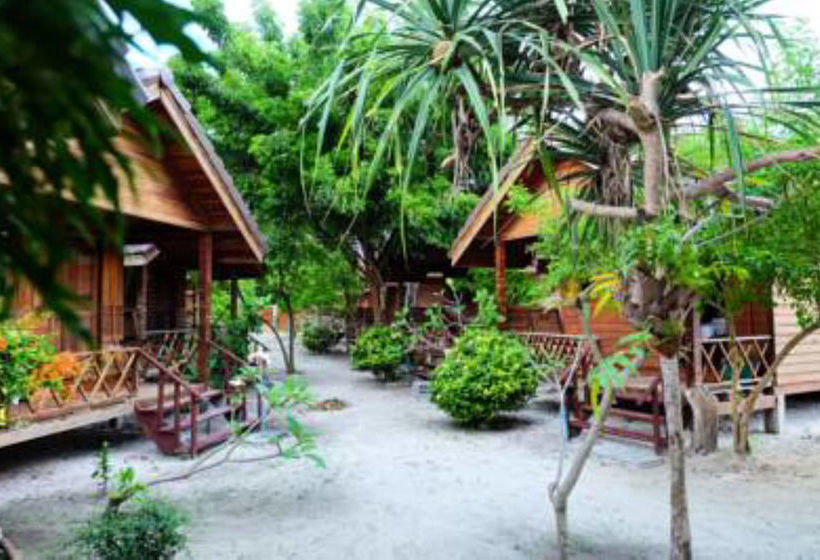 Hotel The Lion Resort 7