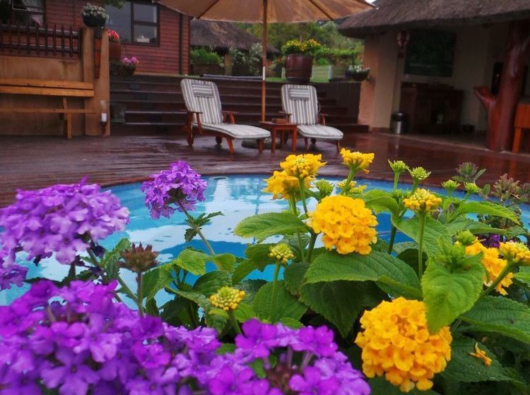 Pension Belle Foret Guest Farm And Function Venue 7