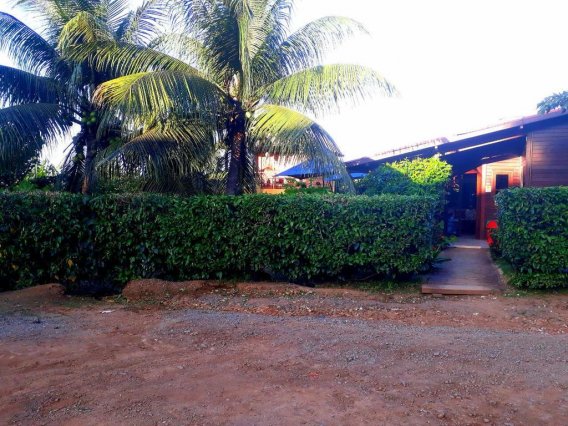 Hotel Pousada Da Michelle  | Fernando de Noronha | Pernambuco | Brasil 1